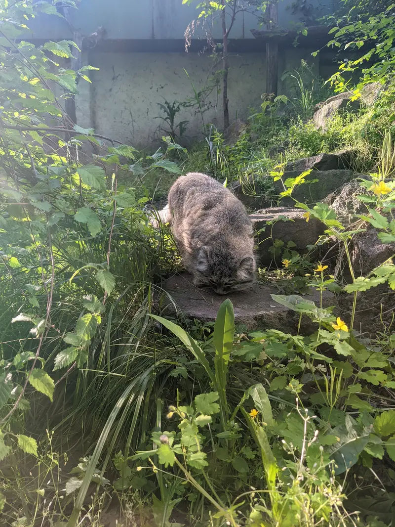 Фотография Бохуша в Будапештском Зоопарке