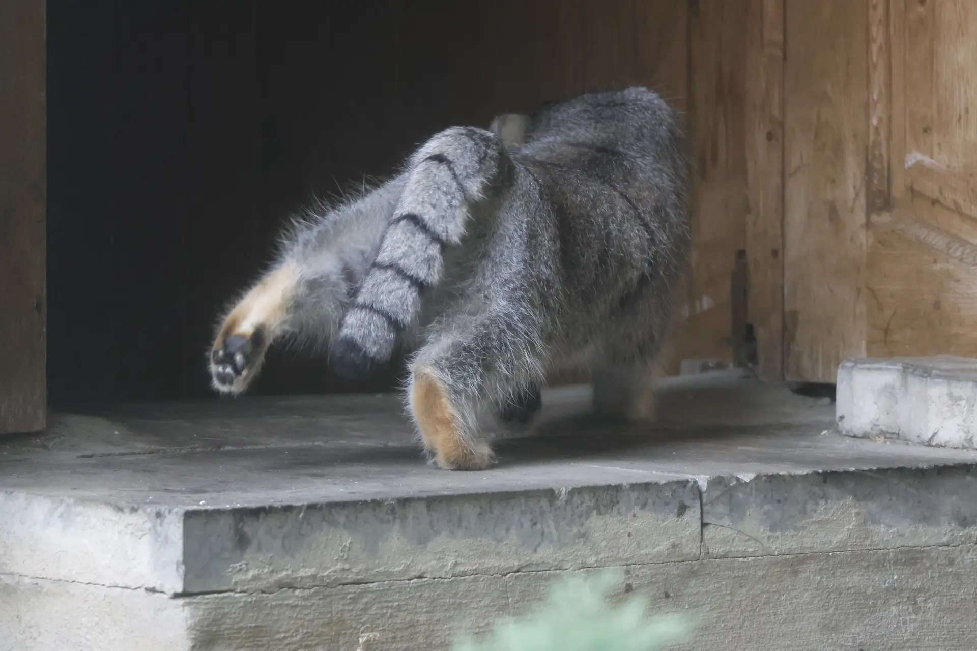 FsXd7MjdEJkdgN45_mw-1920.webp
