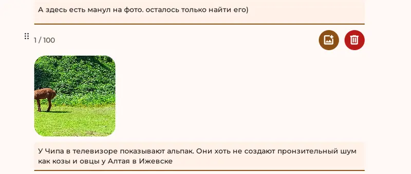 Фотография с манулом