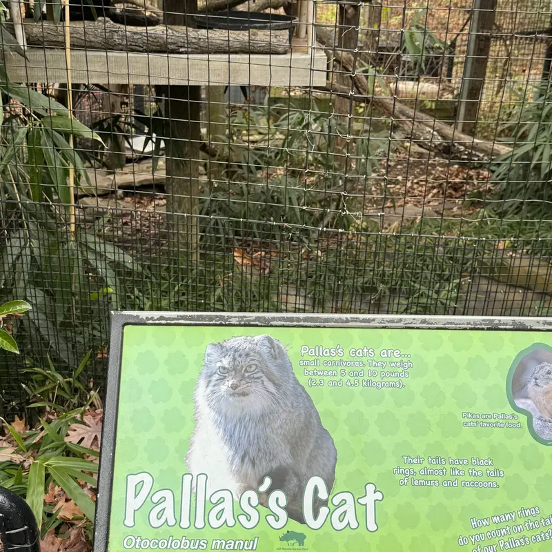 Фотография Акар в Смитсоновском Национальном Зоопарке