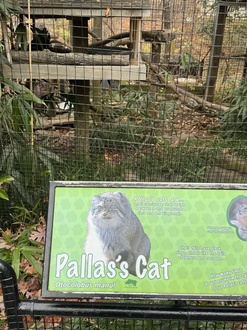 Фотография Акар в Смитсоновском Национальном Зоопарке