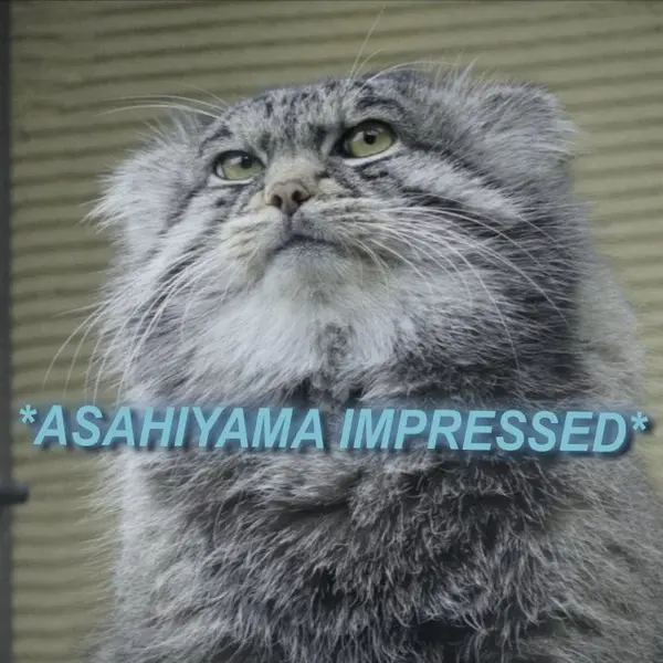 Фотография с манулом