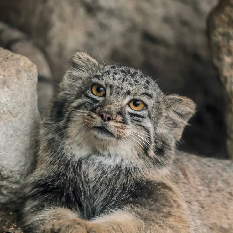 Фотография Мей в Царстве Животных Кобе