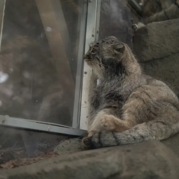 Фотография Мей в Царстве Животных Кобе