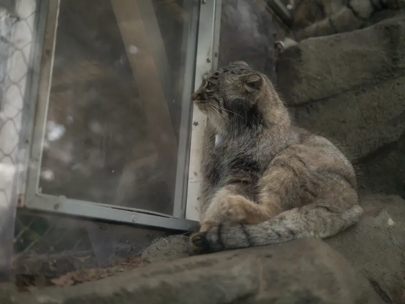 Фотография Мей в Царстве Животных Кобе