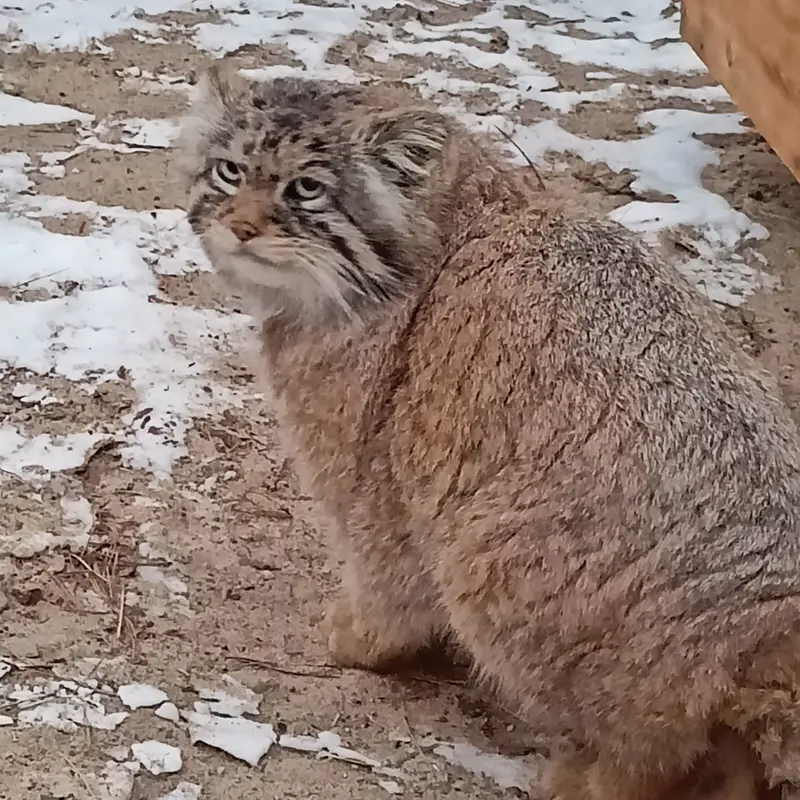 Фотография Жоры в Новосибирском Зоопарке