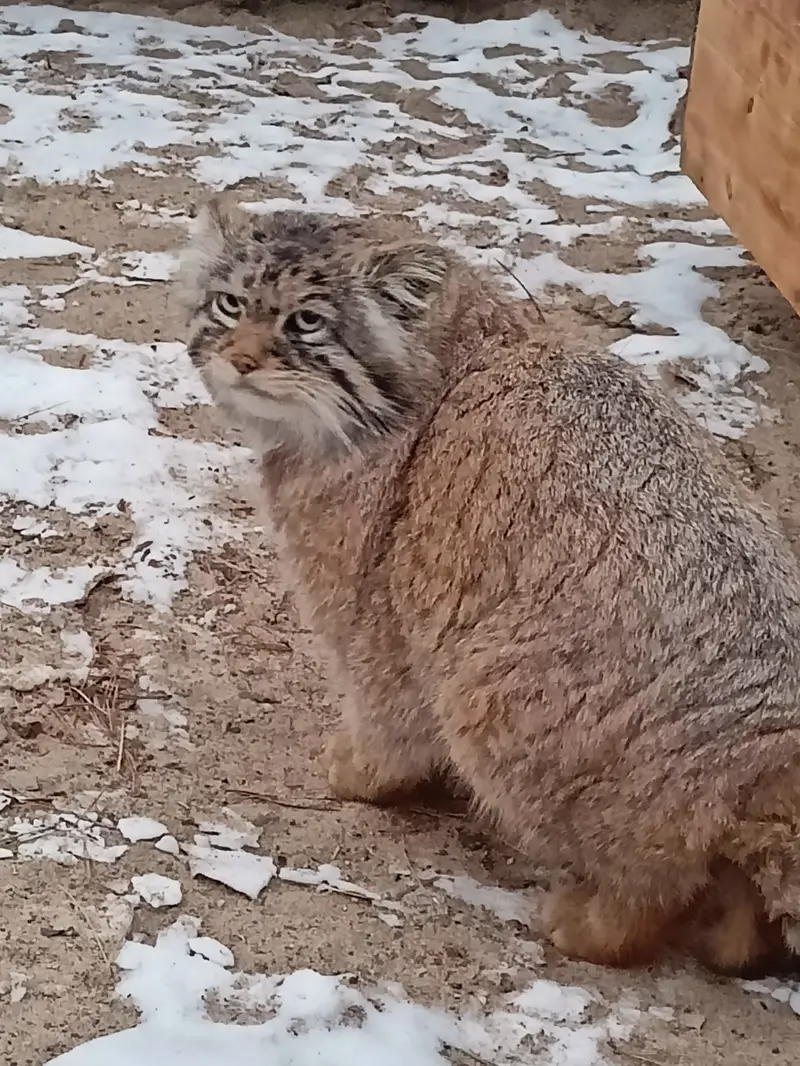 Фотография Жоры в Новосибирском Зоопарке
