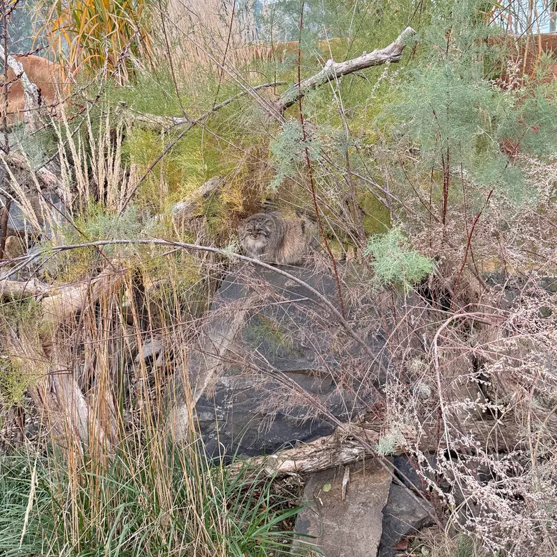 Фотография Принцессы в Пражском Зоопарке