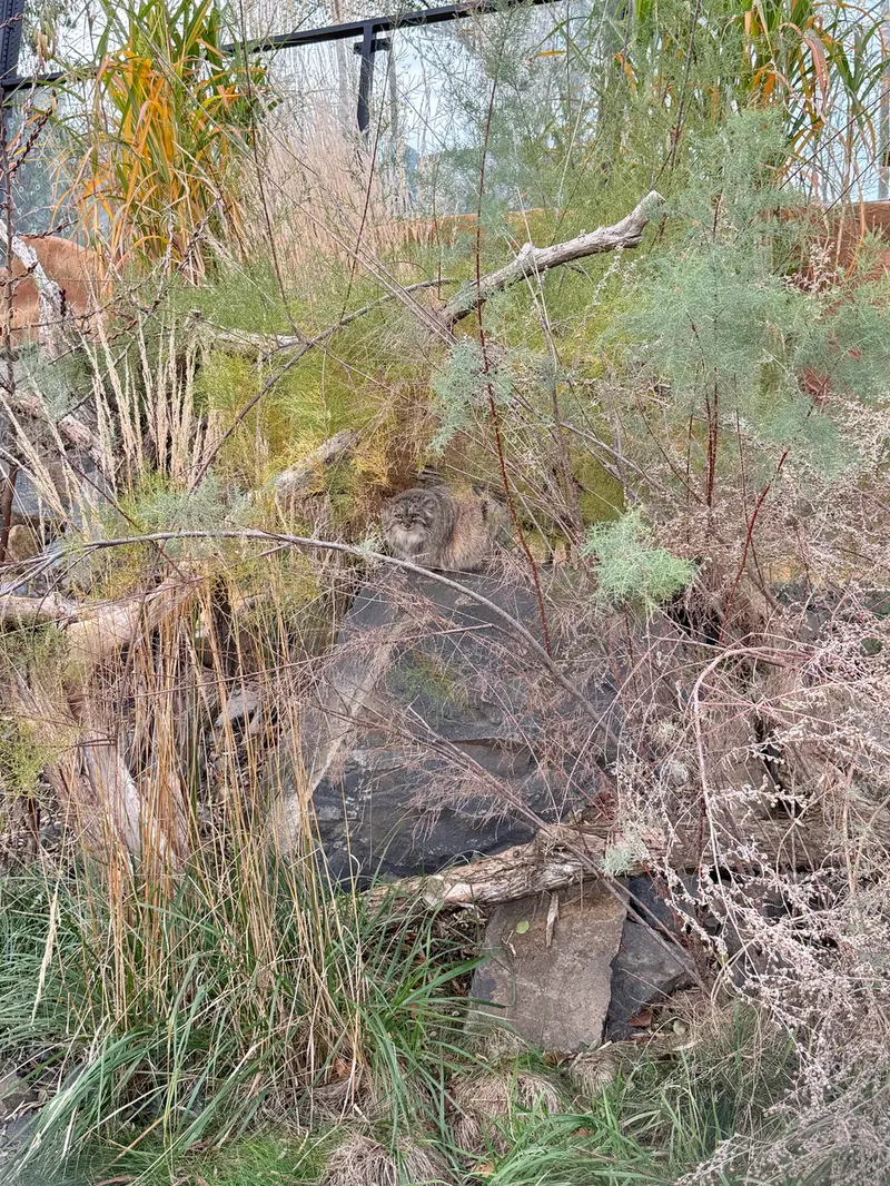 Фотография Принцессы в Пражском Зоопарке