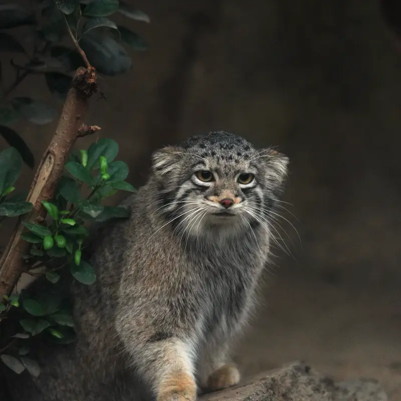 Фотография Ото в Царстве Животных Кобе