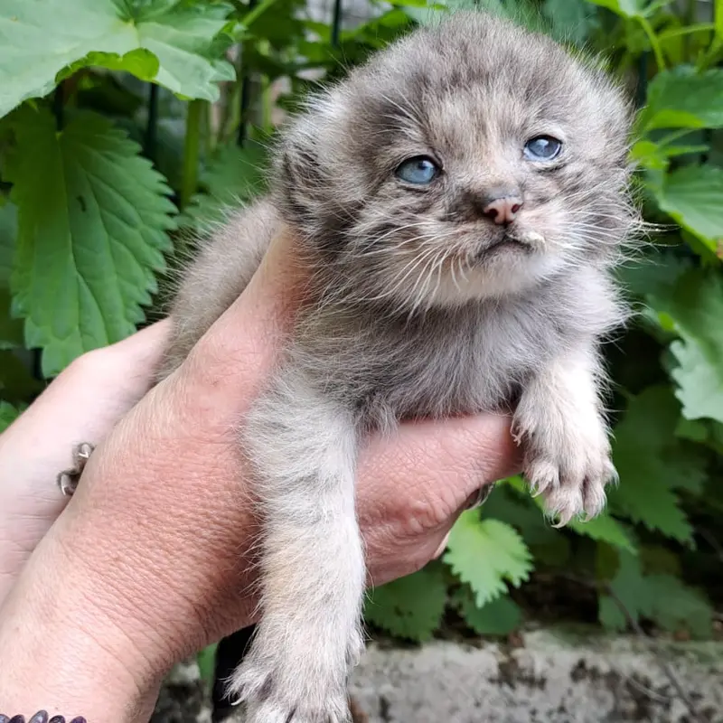 Фотография Джека в Йиглавском Зоопарке