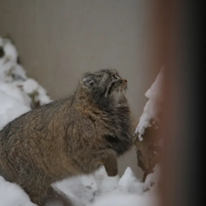 Фотография Улы в Гданском Зоопарке