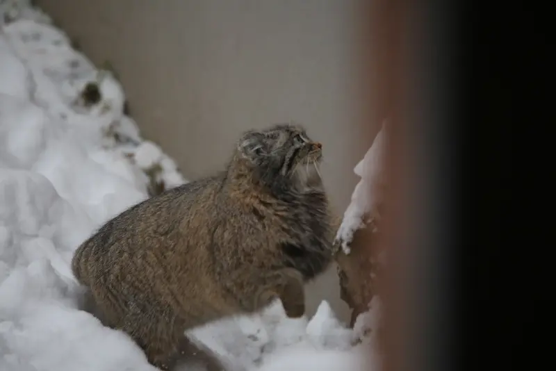Фотография Улы в Гданском Зоопарке