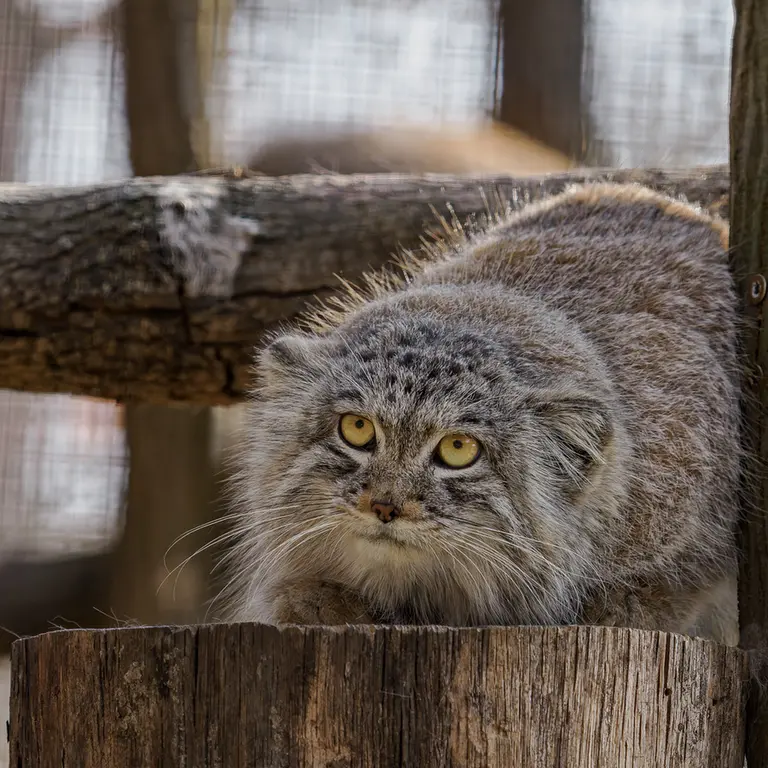 Фотография Ариуны в Зоопарке Брно
