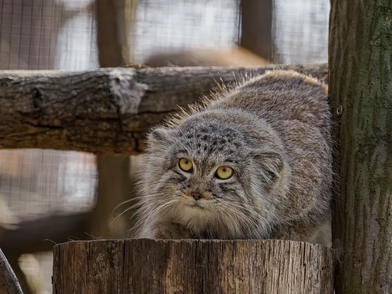Фотография Ариуны в Зоопарке Брно