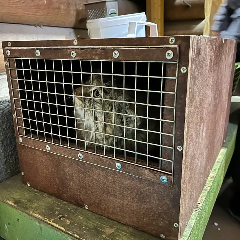 Фотография Пепе в Ленинградском Зоопарке