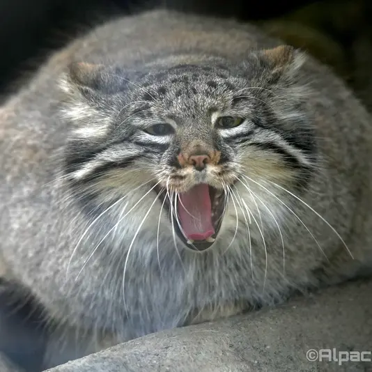 Фотография Мей в Царстве Животных Кобе