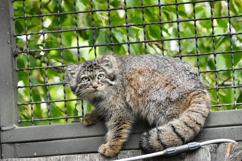 Фотография Мануэлы в Берлинском Зоопарке