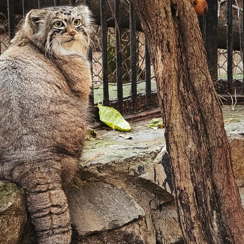 Фотография Ани в Новосибирском Зоопарке