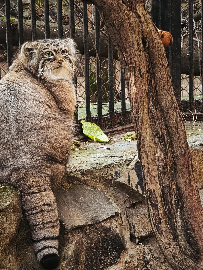 Фотография Ани в Новосибирском Зоопарке