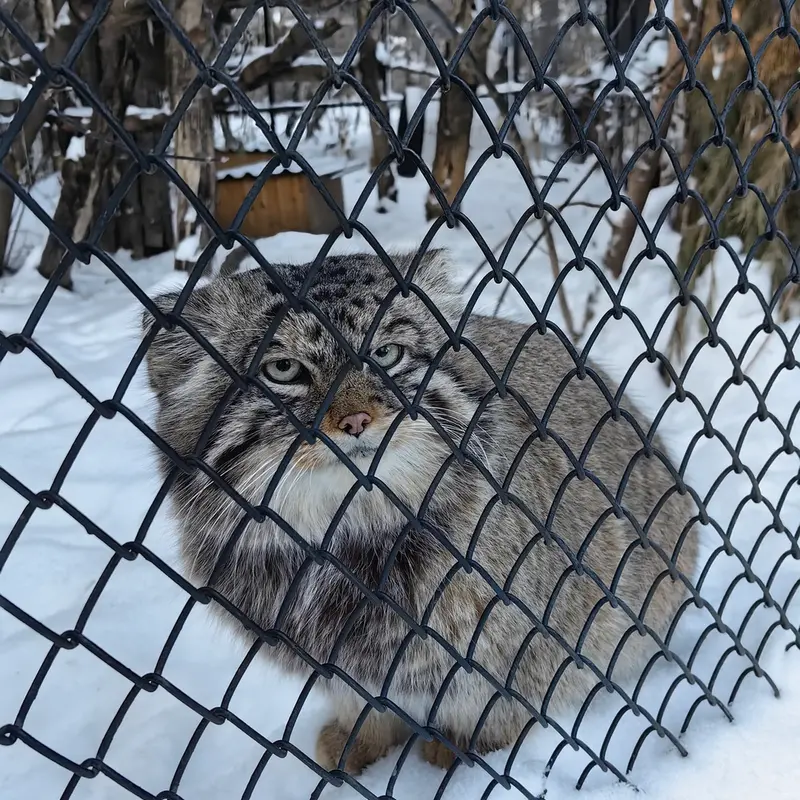Фотография Жоры в Новосибирском Зоопарке