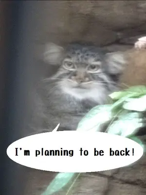 Фотография Абрикос в Царстве Животных Насу