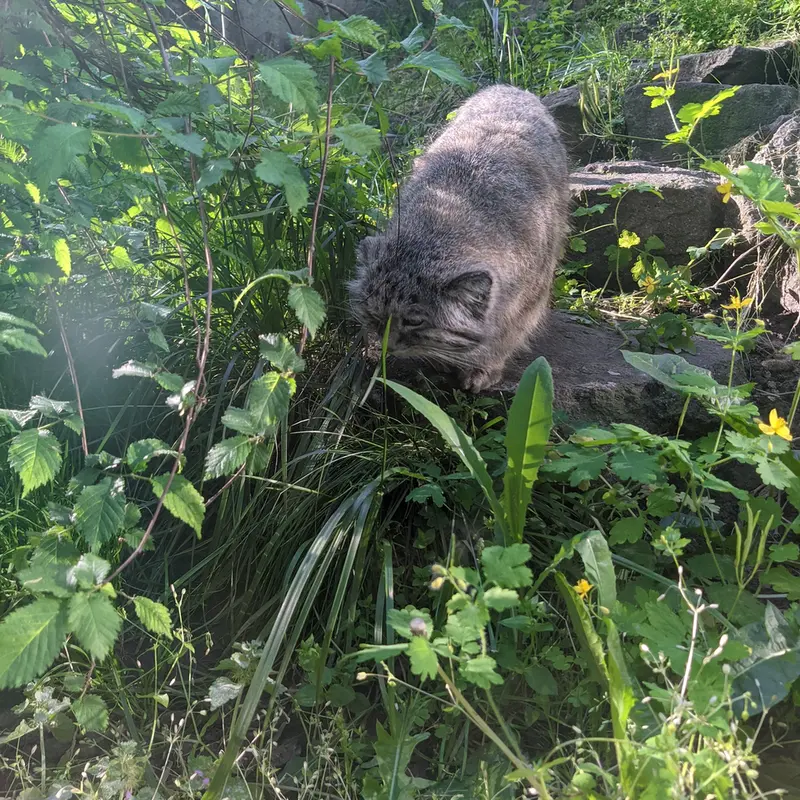 Фотография Бохуша в Будапештском Зоопарке