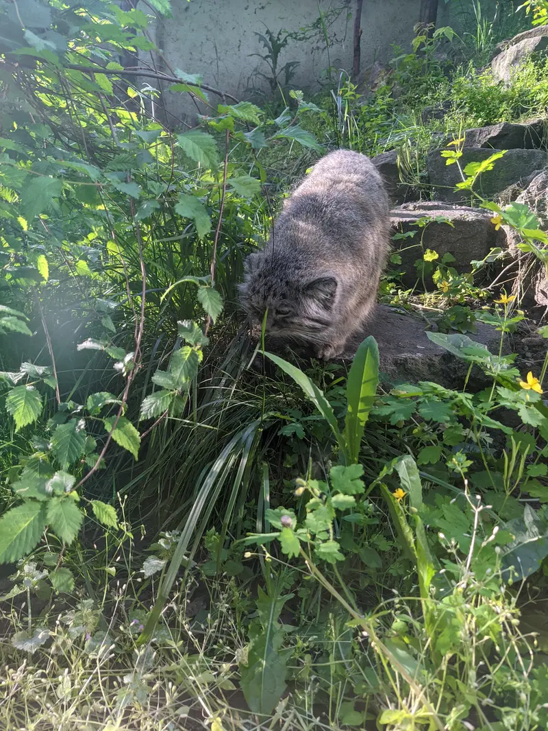 Фотография Бохуша в Будапештском Зоопарке