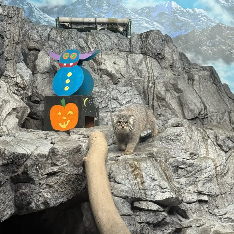 Фотография Изабели в Зоопарке Цинциннати