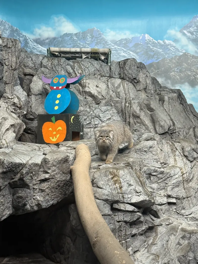 Фотография Изабели в Зоопарке Цинциннати