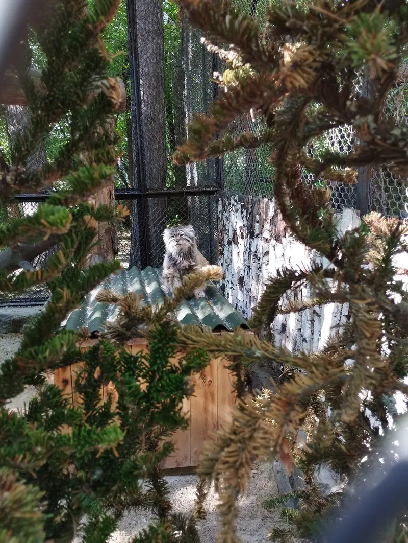 Фотография Зеленогорска в Новосибирском Зоопарке