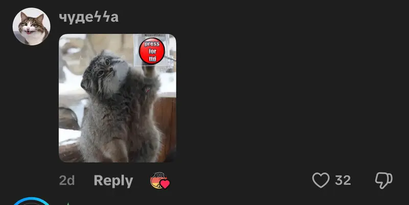 Фотография с манулом