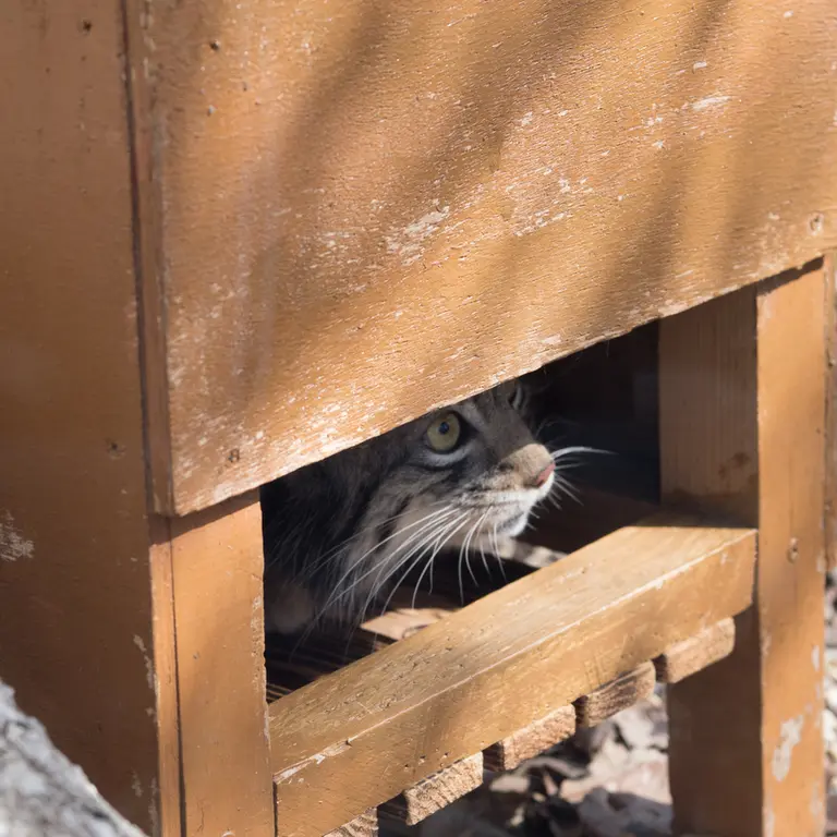 Фотография Ото в Детском зоопарке Сайтама