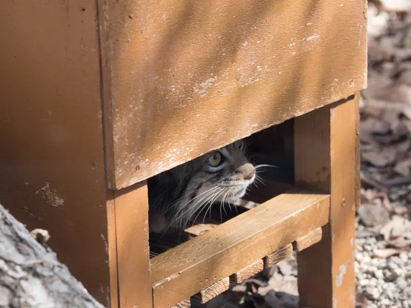 Фотография Ото в Детском зоопарке Сайтама