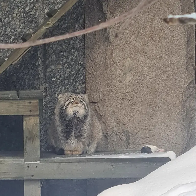 Фотография Тимофея в Московском Зоопарке