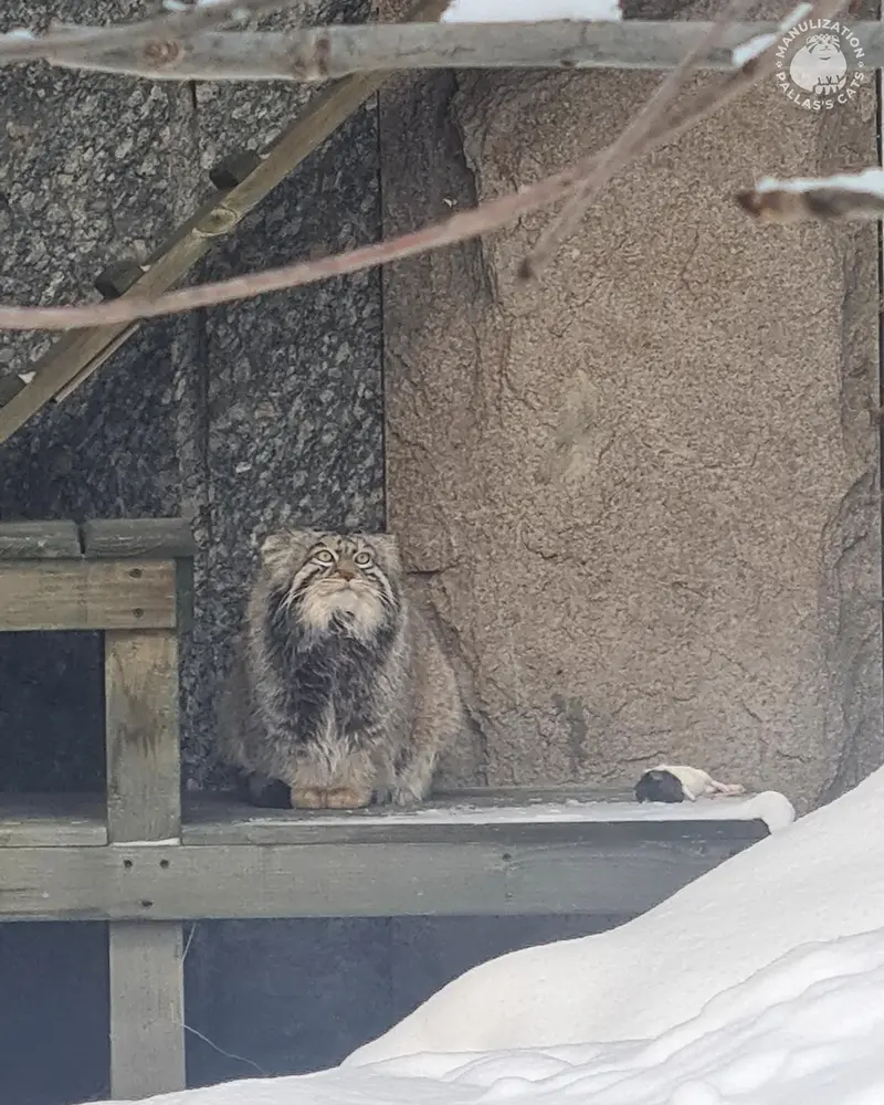 Фотография Тимофея в Московском Зоопарке