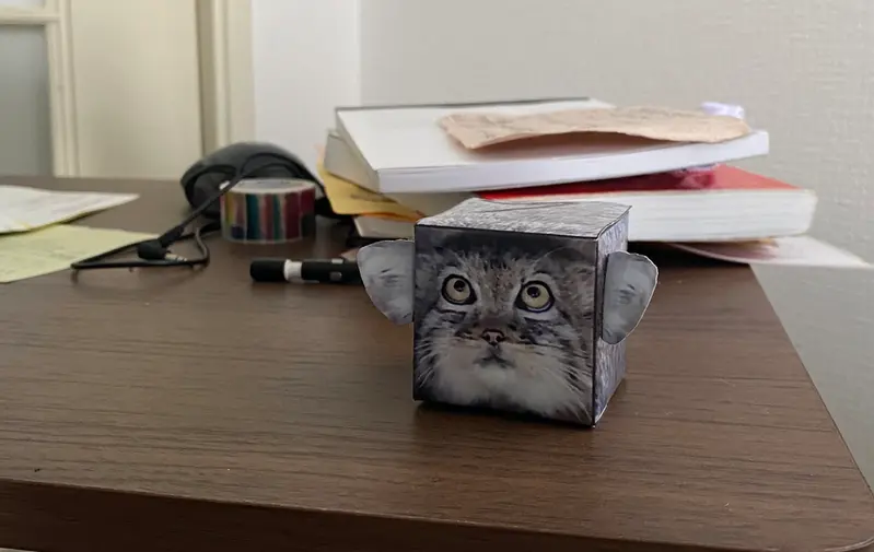 Фотография с манулом