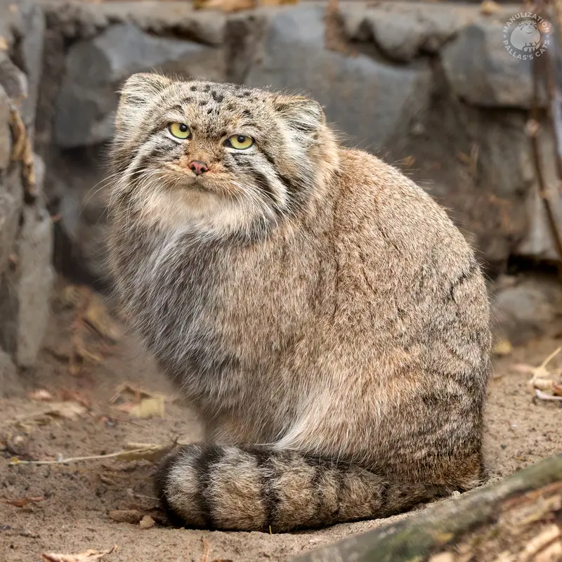 Фотография Виолетты в Новосибирском Зоопарке