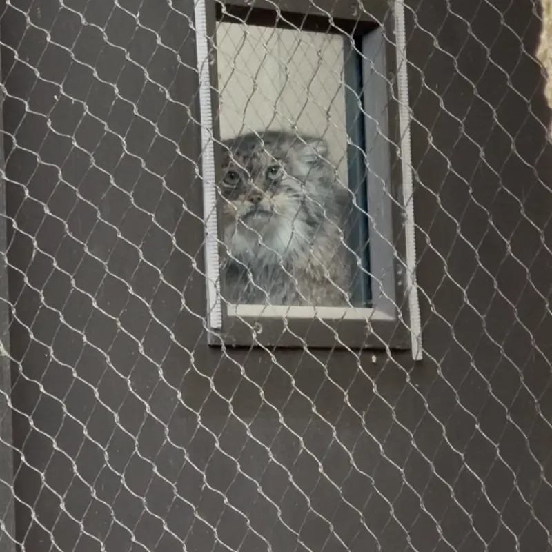 Фотография Сарнай в Зоопарке Проспект-парка