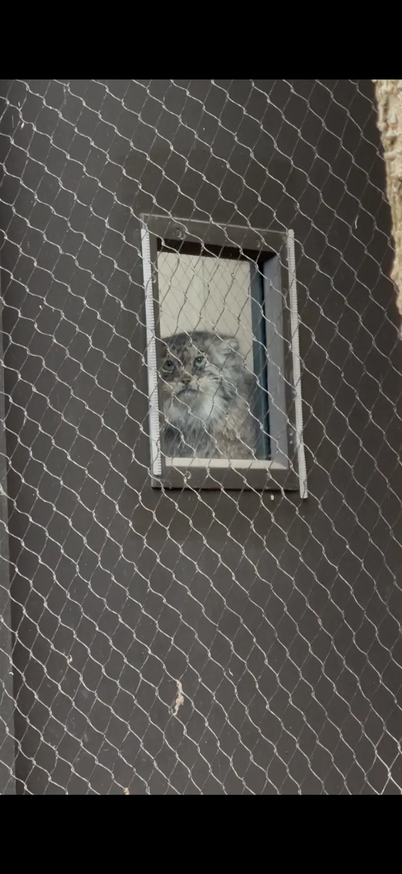 Фотография Сарнай в Зоопарке Проспект-парка