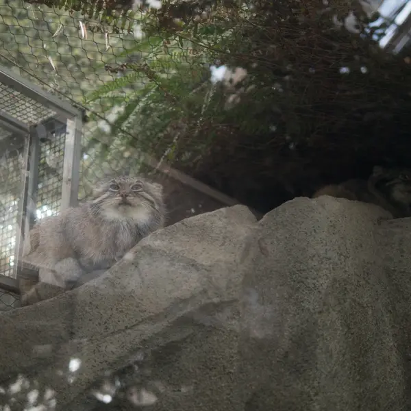 Фотография Аз и Ото в Царстве Животных Кобе