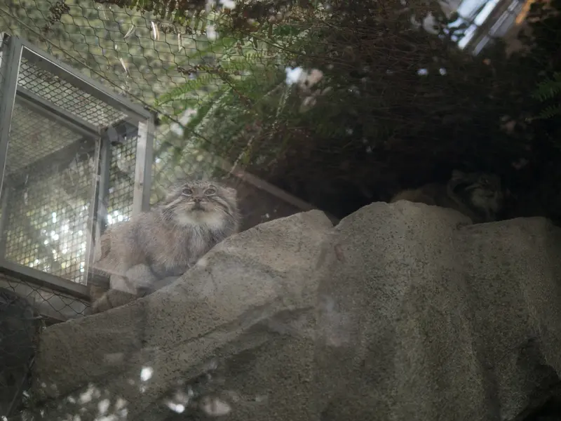 Фотография Аз и Ото в Царстве Животных Кобе