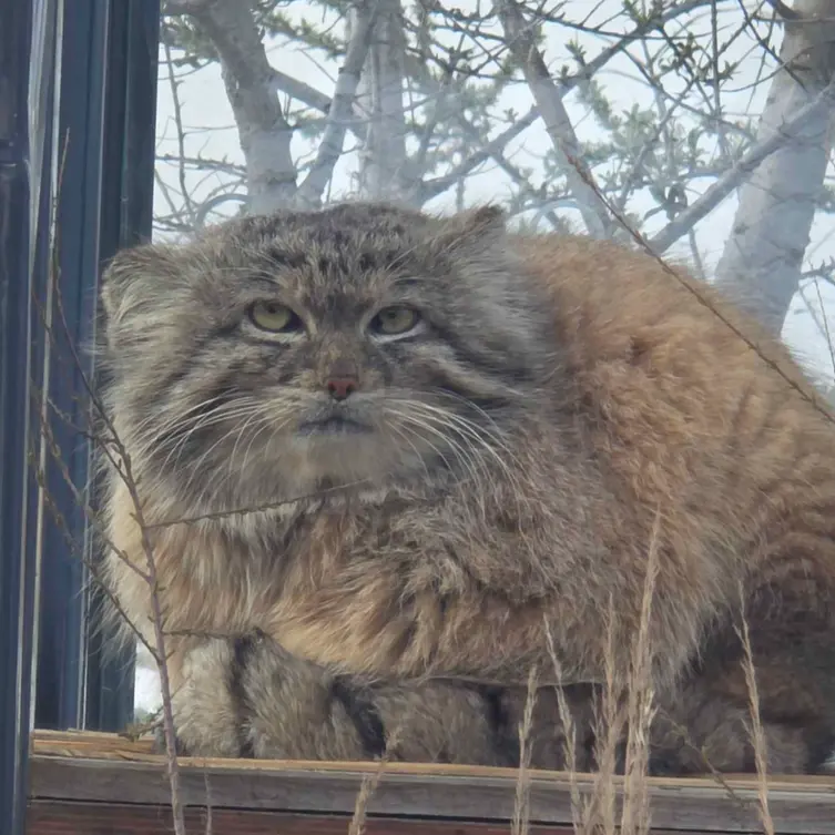 Фотография Спая в Пражском Зоопарке