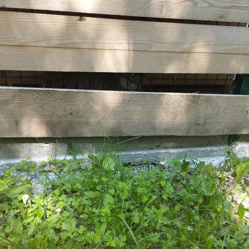 Фотография Чипа в Барнаульском Зоопарке «Лесная сказка»