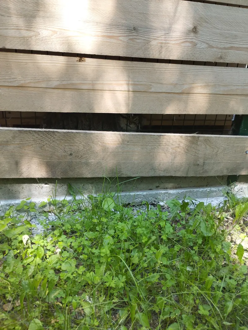 Фотография Чипа в Барнаульском Зоопарке «Лесная сказка»