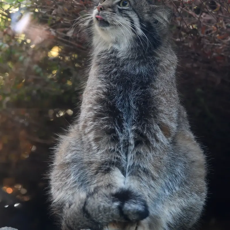 Фотография Ото в Царстве Животных Кобе
