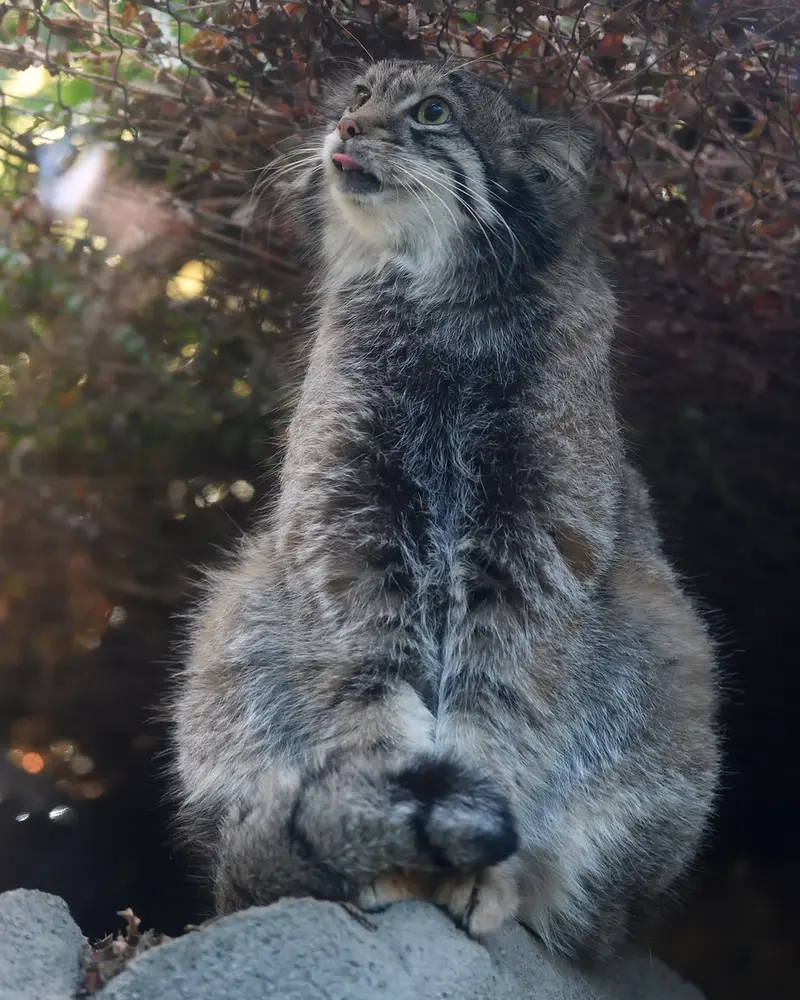 Фотография Ото в Царстве Животных Кобе