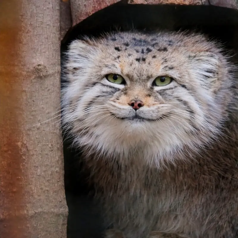 Фотография Джесси в Варшавском Зоопарке