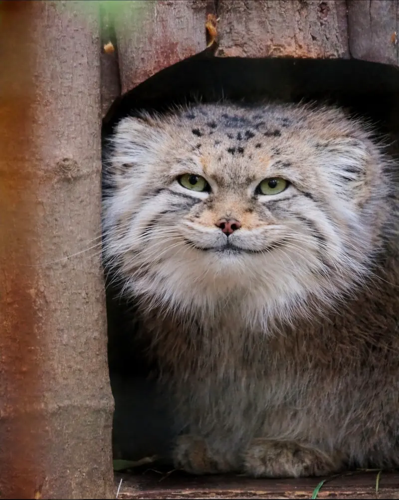 Фотография Джесси в Варшавском Зоопарке