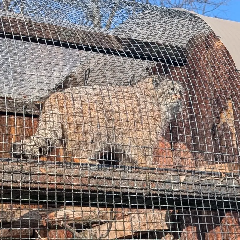 Фотография Пепе в Ленинградском Зоопарке